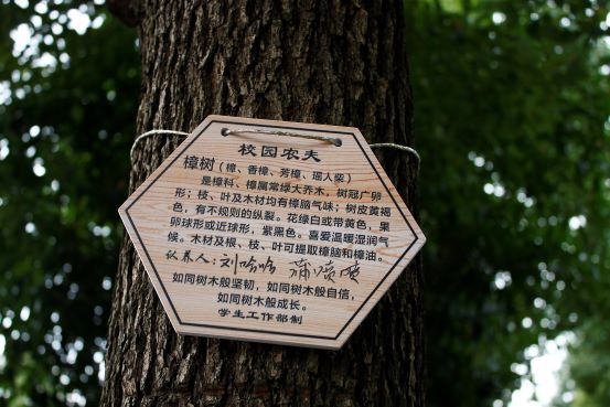 第一图.jpg
